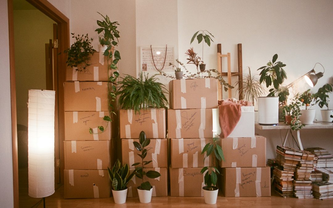 What to Do When Moving Boxes Keep Piling Up in Your Home